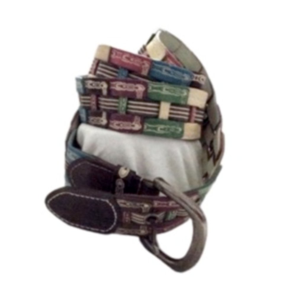 Multi-colored Bonded Leather Woven Belt - Picture 2 of 4